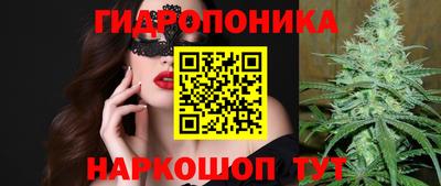 сатива Краснознаменск
