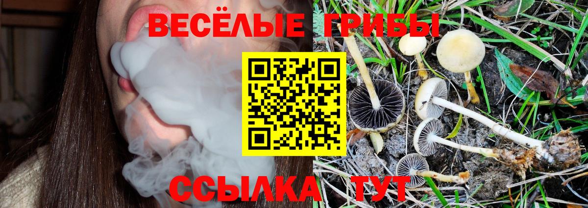 Керчь  Псилоцибиновые грибы мухоморы  Вход с VPN 