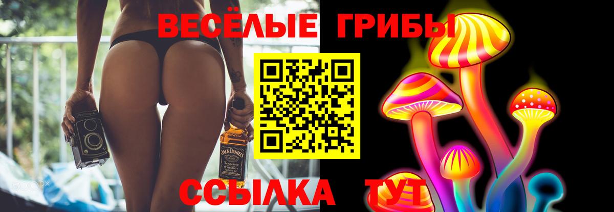 Псилоцибиновые грибы GOLDEN TEACHER Керчь