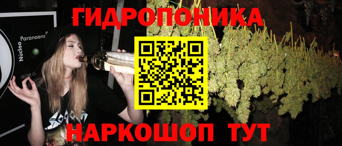 Канабис сатива Керчь